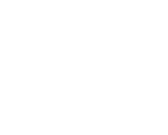 Songwriter